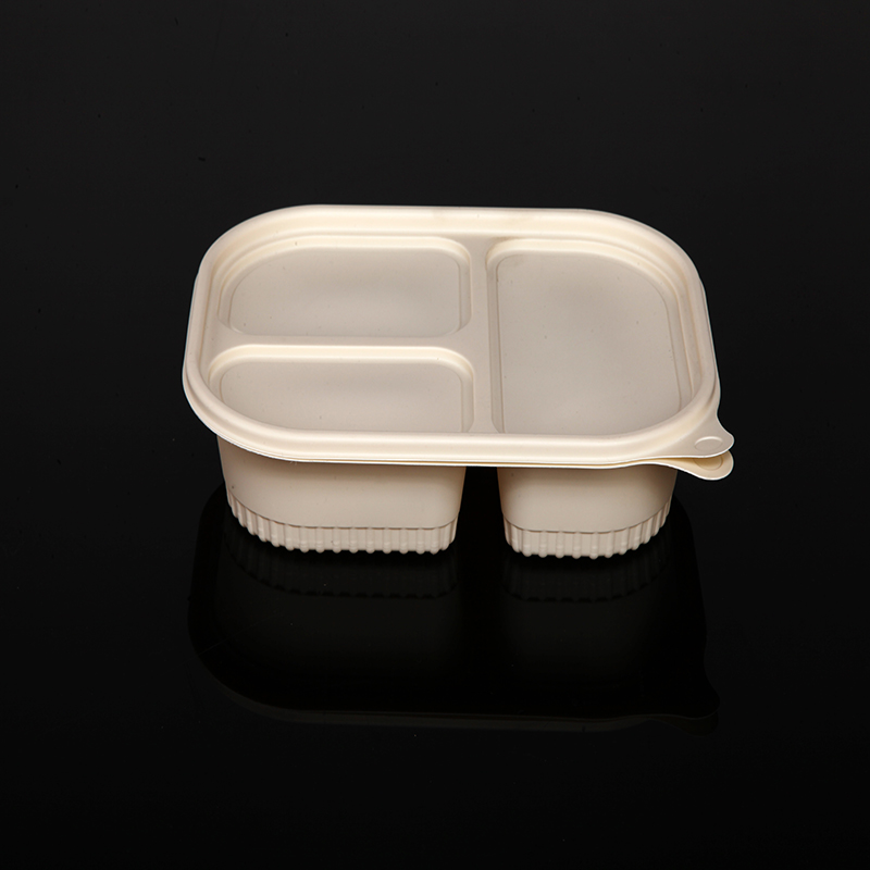 Boxe de prânz biodegradabil